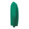 uhlsport Essential Training Sweatshirt Grün F47 - gruen