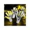 uhlsport FM Absolutgrip HN Fit Solar Edition #402 Torwarthandschuhe Mehrfarbig F1011414011113 - mehrfarbig