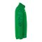 uhlsport Goal 25 HalfZip Sweatshirt Grün F06 - gruen