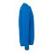 uhlsport Sweatshirt Blau F43 - blau