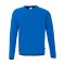uhlsport Sweatshirt Kids Blau F43 - blau
