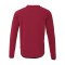 uhlsport ID Sweatshirt Rot F64 - rot