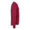 uhlsport ID Sweatshirt Rot F64 - rot