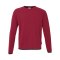 uhlsport ID Sweatshirt Rot F64 - rot