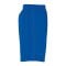 uhlsport Performance Short Kids Blau Weiss F03 - blau