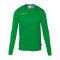 uhlsport Prediction Torwarttrikot Kids Grün F070 - gruen