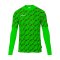 uhlsport Progressive Torwart Set Trikot Set Grün F72 - gruen