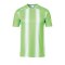 uhlsport Stripe 2.0 Trikot kurzarm Grün Weiss F06 - Gruen