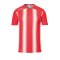uhlsport Stripe 2.0 Trikot kurzarm Rot Weiss F03 - Rot