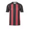 uhlsport Stripe 2.0 Trikot kurzarm Schwarz Rot F26 - Schwarz