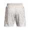 Under Armour Curry Mesh Short 2 Grün - grau