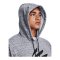 Under Armour Curry Pullover Hoody Silber F011 - silber