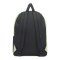 Vans Schoolin IT Rucksack Grün Schwarz - gruen