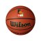 Wilson Evolution DBB Game Basketball Braun - braun