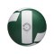 Wilson Helix Volleyball Spielball Grün - gruen