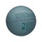 Wilson Nba Drv Protrainingsball Trainingsball Blau - blau