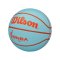 Wilson WNBA Drv Teor Trainingsball Blau - blau