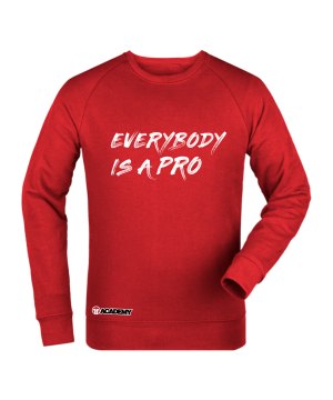 11ts-academy-sweatshirt-pro-rot-stsu868-fan-shop_front.png