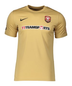academy-park-vii-trikot-kurzarm-gold-f729-ac-25-bv6708-teamsport_front.png