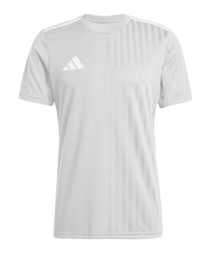 adidas-campeon-25-trikot-grau-jf6065-teamsport_front.png