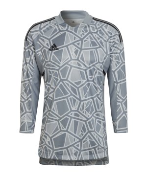 adidas-condivo-22-torwarttrikot-langarm-grau-hb1614-teamsport_front.png