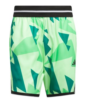 adidas-crazylite-aop-2-short-grau-jn4718-indoor_front.png