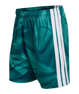 adidas-dfb-deutschland-torwartshort-home-2026-gruen-jm3715-teamsport_front.png