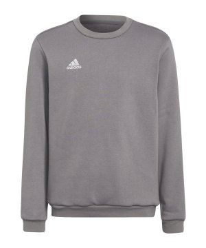 adidas-entrada-22-sweatshirt-kids-grau-h57477-teamsport_front.png