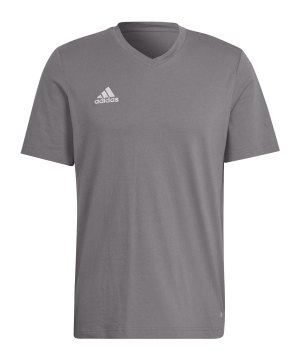 adidas-entrada-22-t-shirt-grau-hc0449-teamsport_front.png