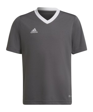 adidas-entrada-22-trikot-kids-grau-weiss-h57499-teamsport_front.png