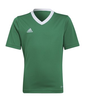adidas-entrada-22-trikot-kids-gruen-hi2126-teamsport_front.png