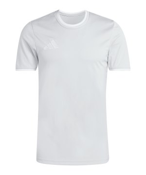 adidas-entrada-26-trikot-grau-jz2511-teamsport_front.png