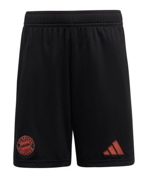 adidas-fc-bayern-muenchen-short-a-24-25-k-schwarz-it2237-fan-shop_front.png