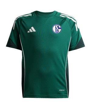 adidas-fc-schalke-04-trainingshirt-kids-gruen-6s04ji8944-fan-shop_front.png