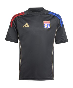 adidas-olympique-lyon-trainingshirt-kids-grau-jl7755-fan-shop_front.png