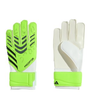 adidas-predator-glove-tw-handschuhe-kids-gruen-jn5362-equipment_front.png