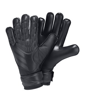adidas-predator-training-tw-handschuhe-schwarz-iw6280-equipment_front.png
