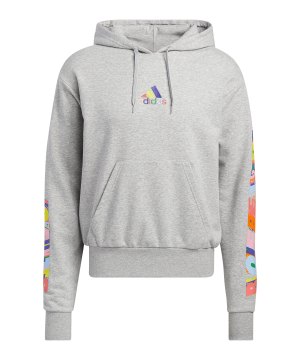 adidas-pride-graphic-hoody-grau-hc4454-fussballtextilien_front.png