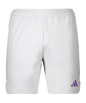 adidas-tiro-23-pro-torwartshort-grau-weiss-hl0011-teamsport_front.png