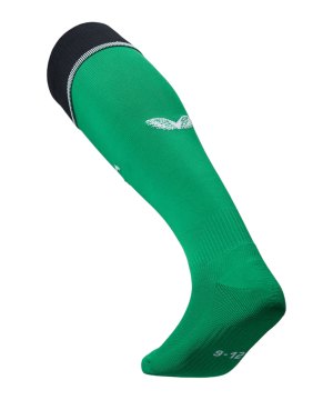 castore-feyenoord-rotterdam-stutzen-3rd-24-25-f101-tu6332-fussballtextilien_front.png
