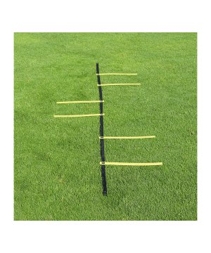 cawila-goalkeeper-ladder-tasche-6-sprossen-1000724969-equipment_front.png