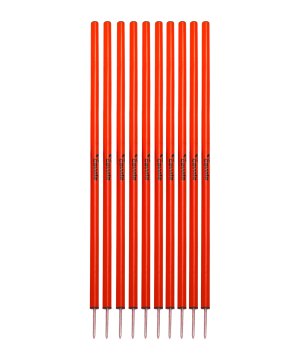cawila-slalom-l-10stk-d33mm-160cm-13cm-spitz-rot-1000692532-equipment_front.png