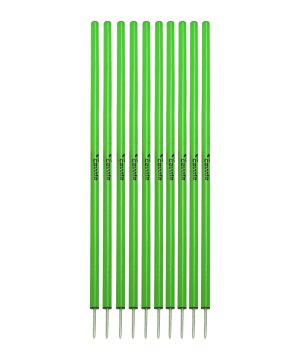 cawila-slalom-l-10stk-d33mm-160cm-13cm-spitze-gruen-1000699603-equipment_front.png