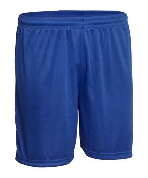 derbystar-basic-hose-blau-f600-6017-fussballtextilien_front.png