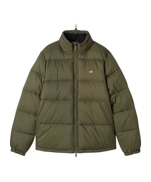 dickies-waldenburg-puffer-jacke-gruen-dk0a4xp2mgr1-lifestyle_front.png