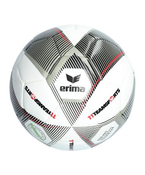 erima-hybrid-2-0-lite-350g-lightball-grau-schwarz-750961-equipment_front.png