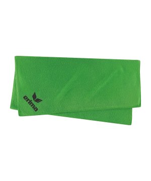 erima-liga-star-gr-s-handtuch-gruen-2242402-equipment_front.png