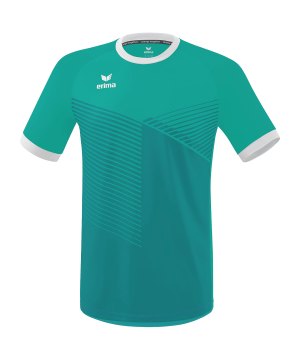 erima-mantua-trikot-gruen-weiss-6132306-teamsport_front.png