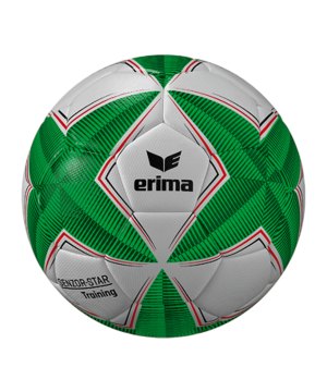 erima-senzor-star-trainingsball-gruen-7192502-equipment_front.png