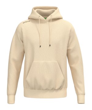 erima-ts-hoody-braun-2072581-indoor_front.png